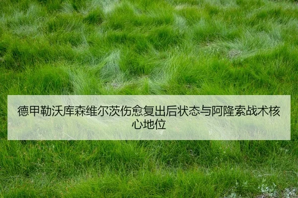 de-jia-lei-wo-ku-sen-wei-er-ci-shang-yu-fu-chu-hou-zhuang-tai-yu-a-long-suo-zhan-shu-he-xin-di-wei-3-829.jpg